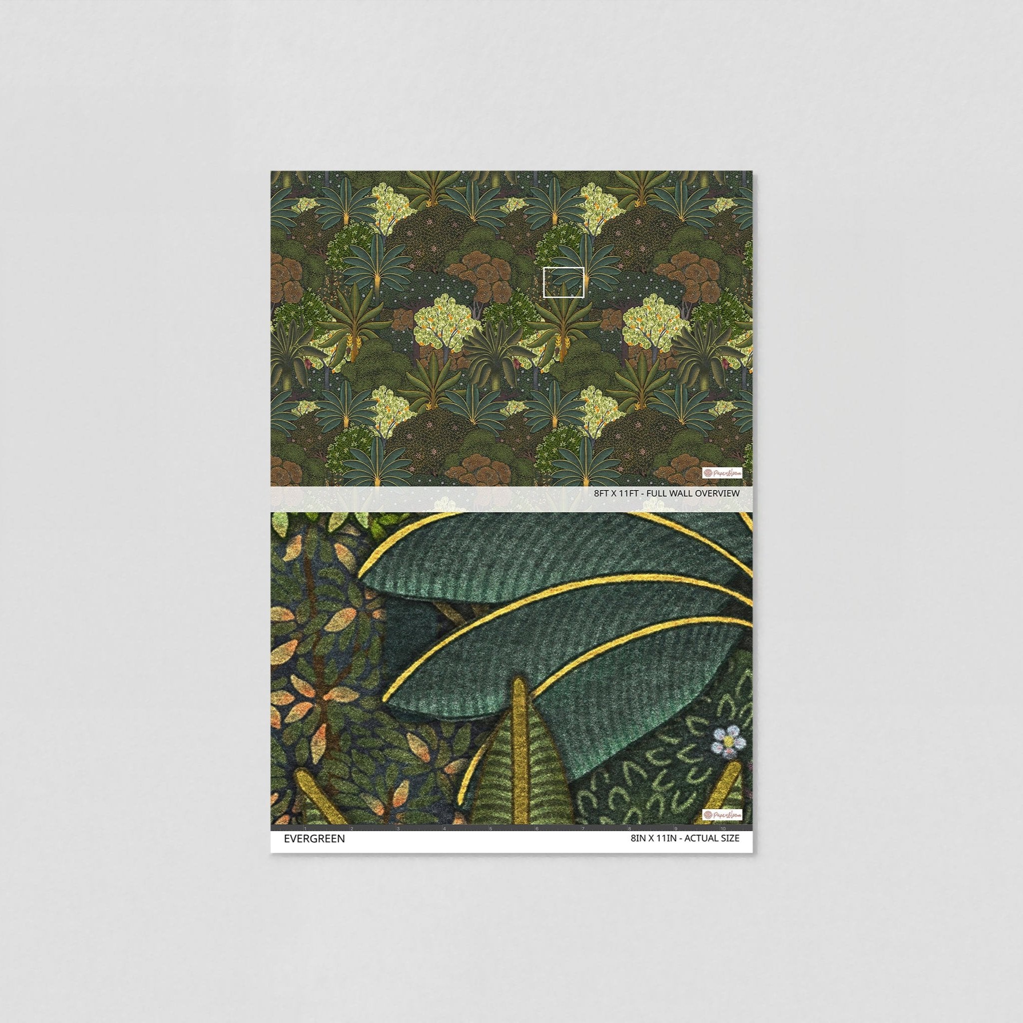 Evergreen Wallpaper