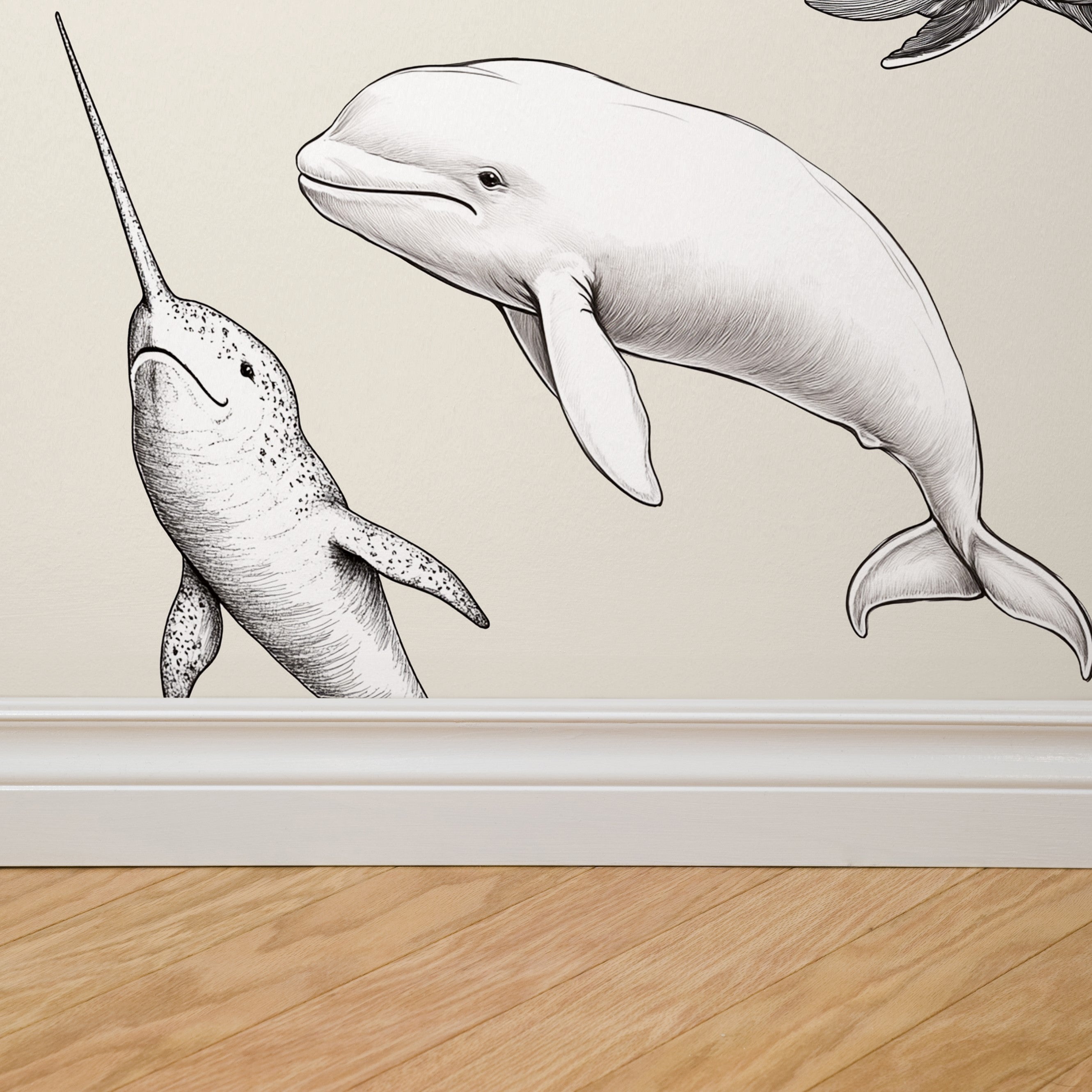 Marine Life Wallpaper