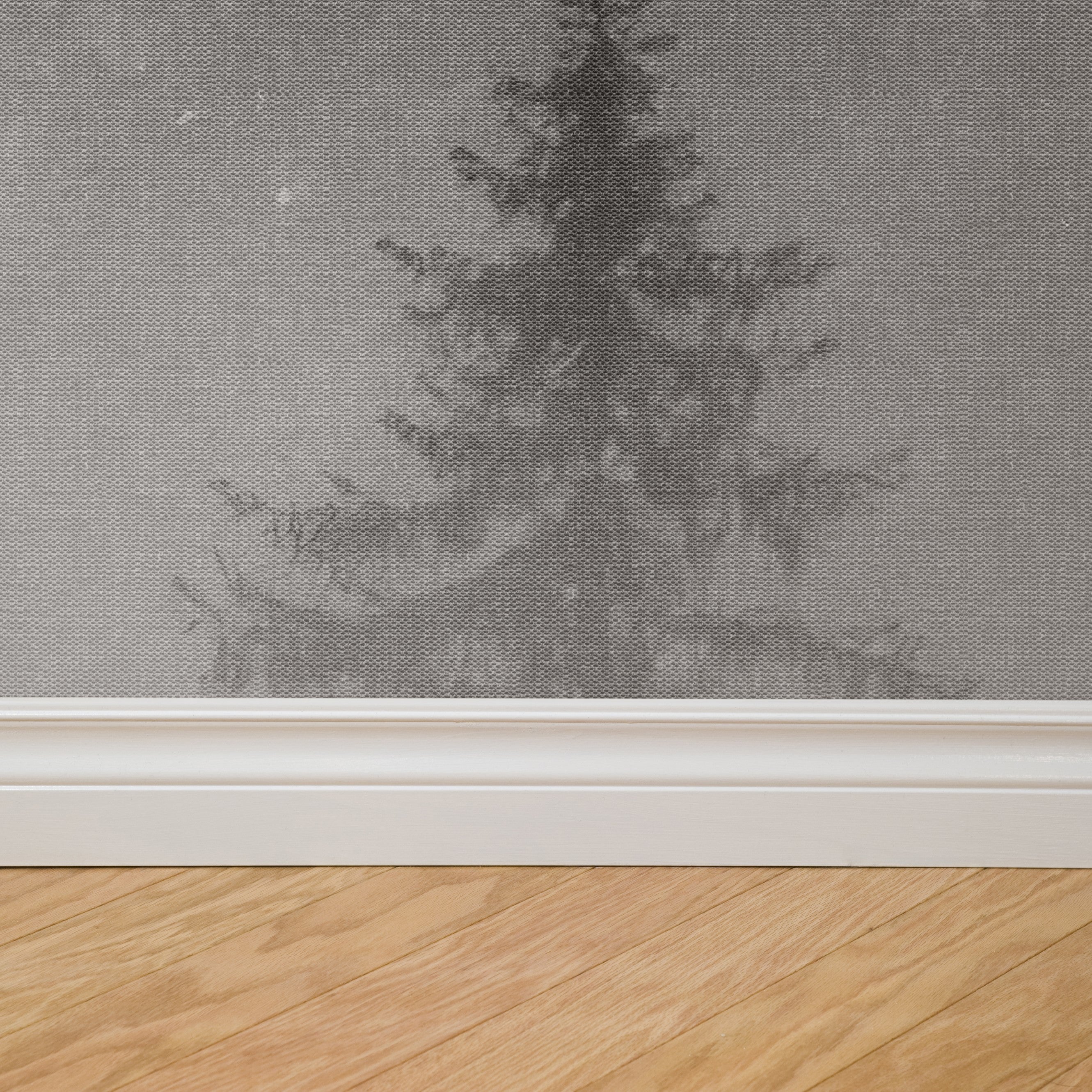 Misty Grove Wallpaper