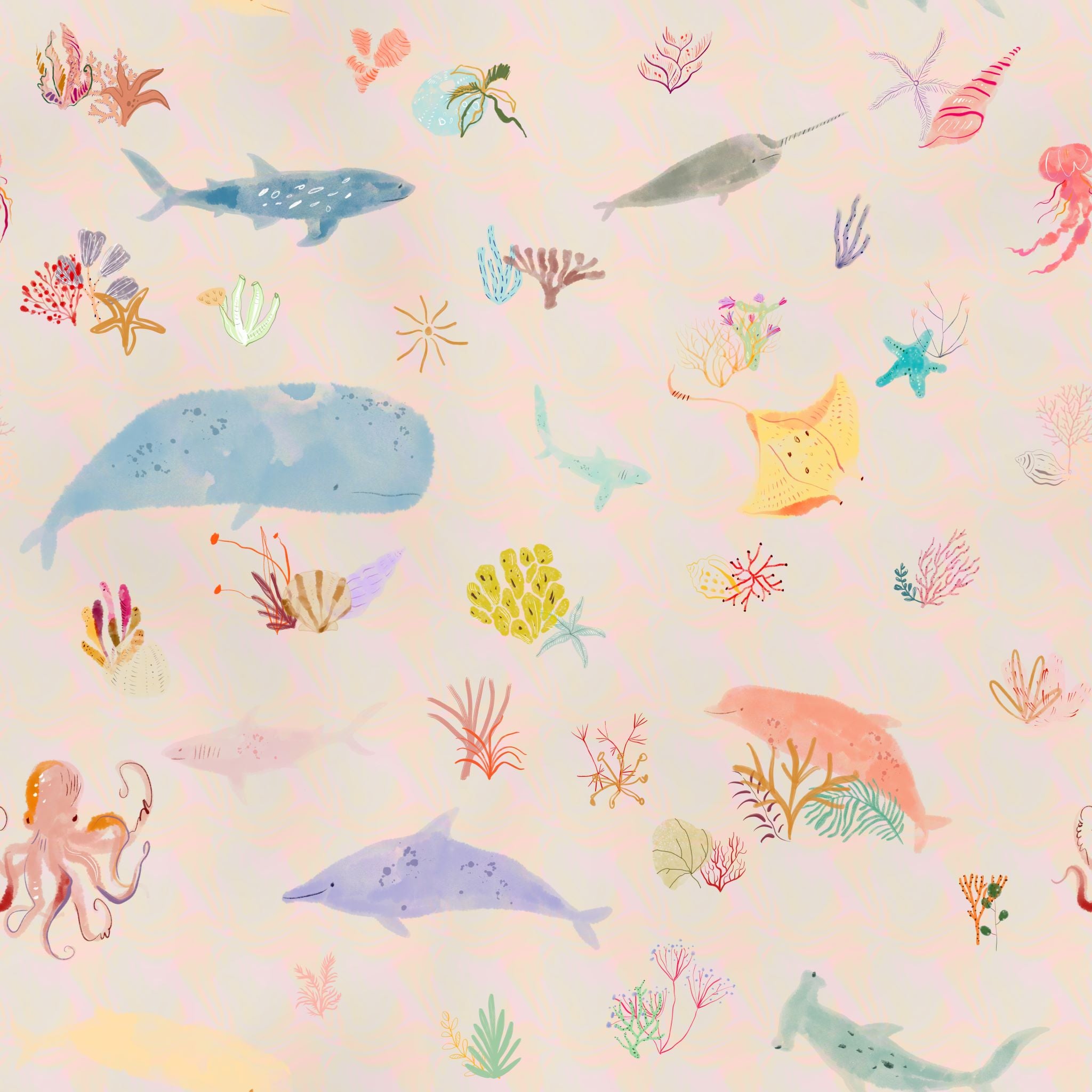 Coral Wallpaper