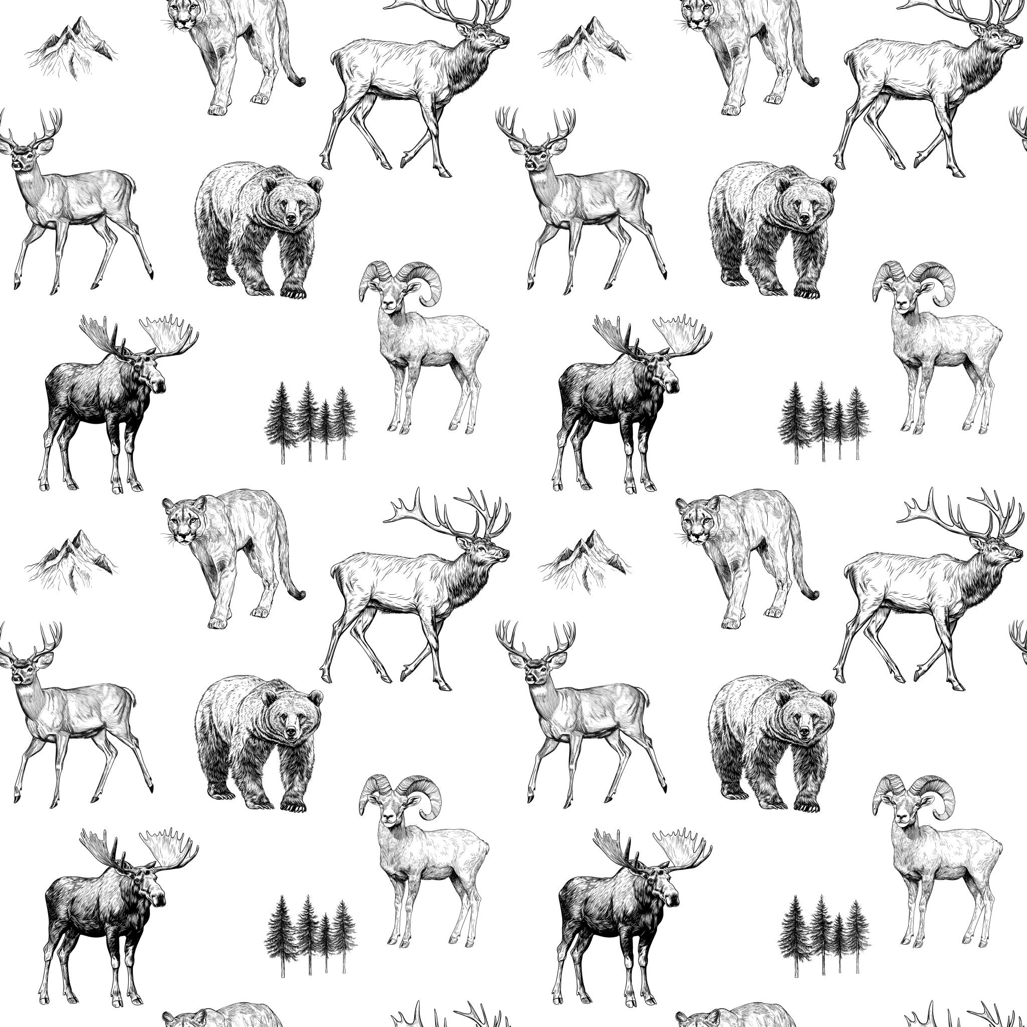 Denali Wallpaper
