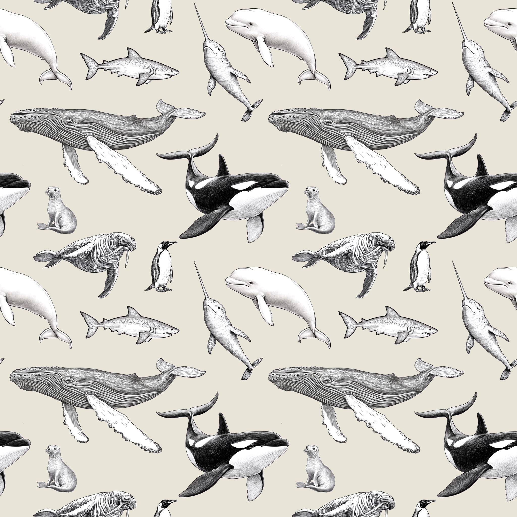 Marine Life Wallpaper