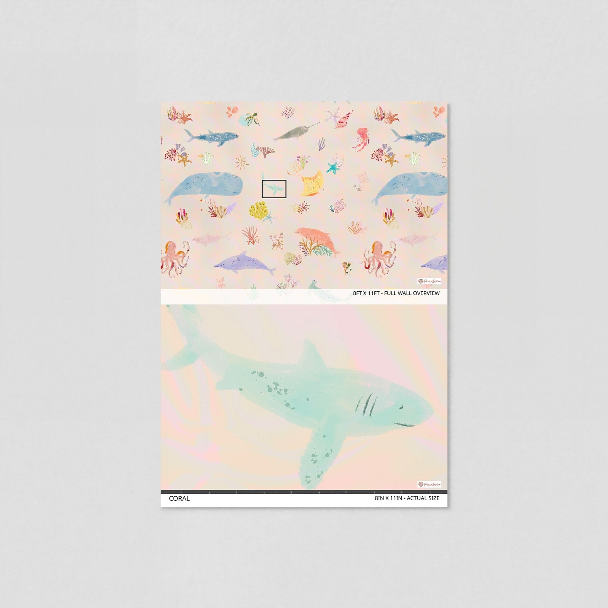 Coral Wallpaper